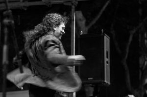 Bailaor - La cultura d'un llarg viatge