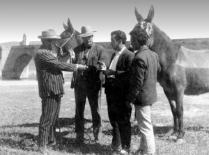 Fotografia - Feiraires en un tracte, Extremadura, principis del segle XX. Col.lecció FAGEX.